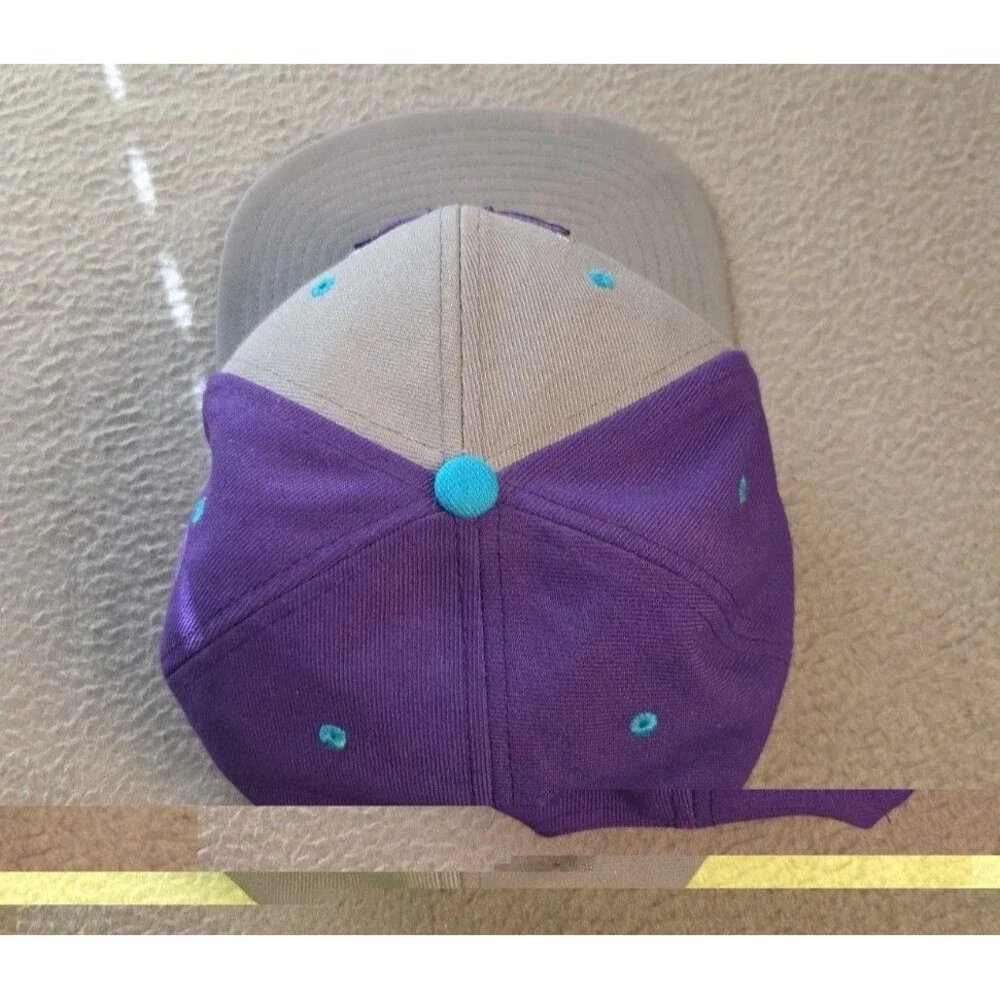 Air Jordan NBA Charlotte Hornets Pro Jumpman Snapback Hat Grey Purple Teal EUC